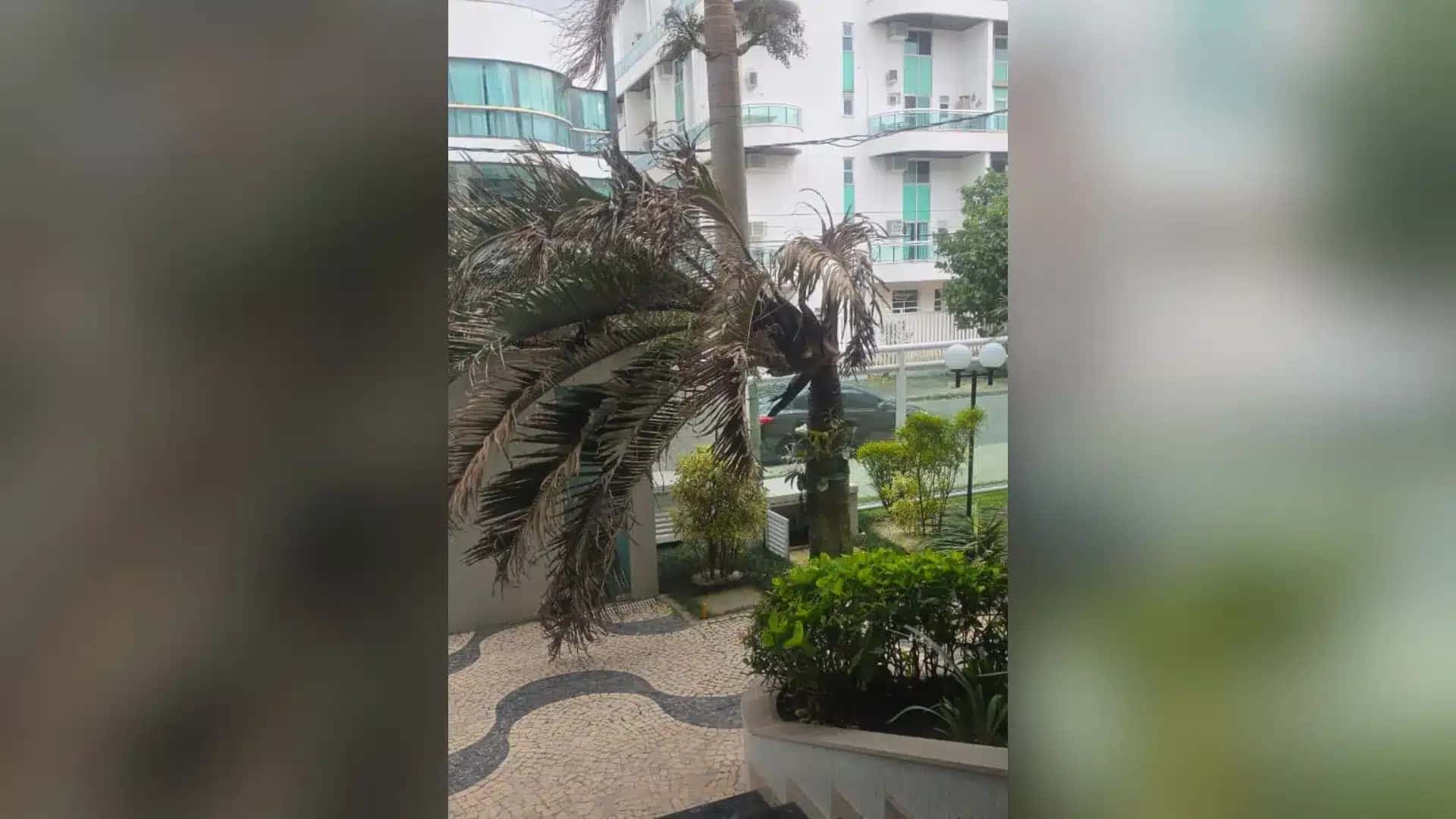 Ventania na rua Andrade de Neves, na Tijuca (RJ)