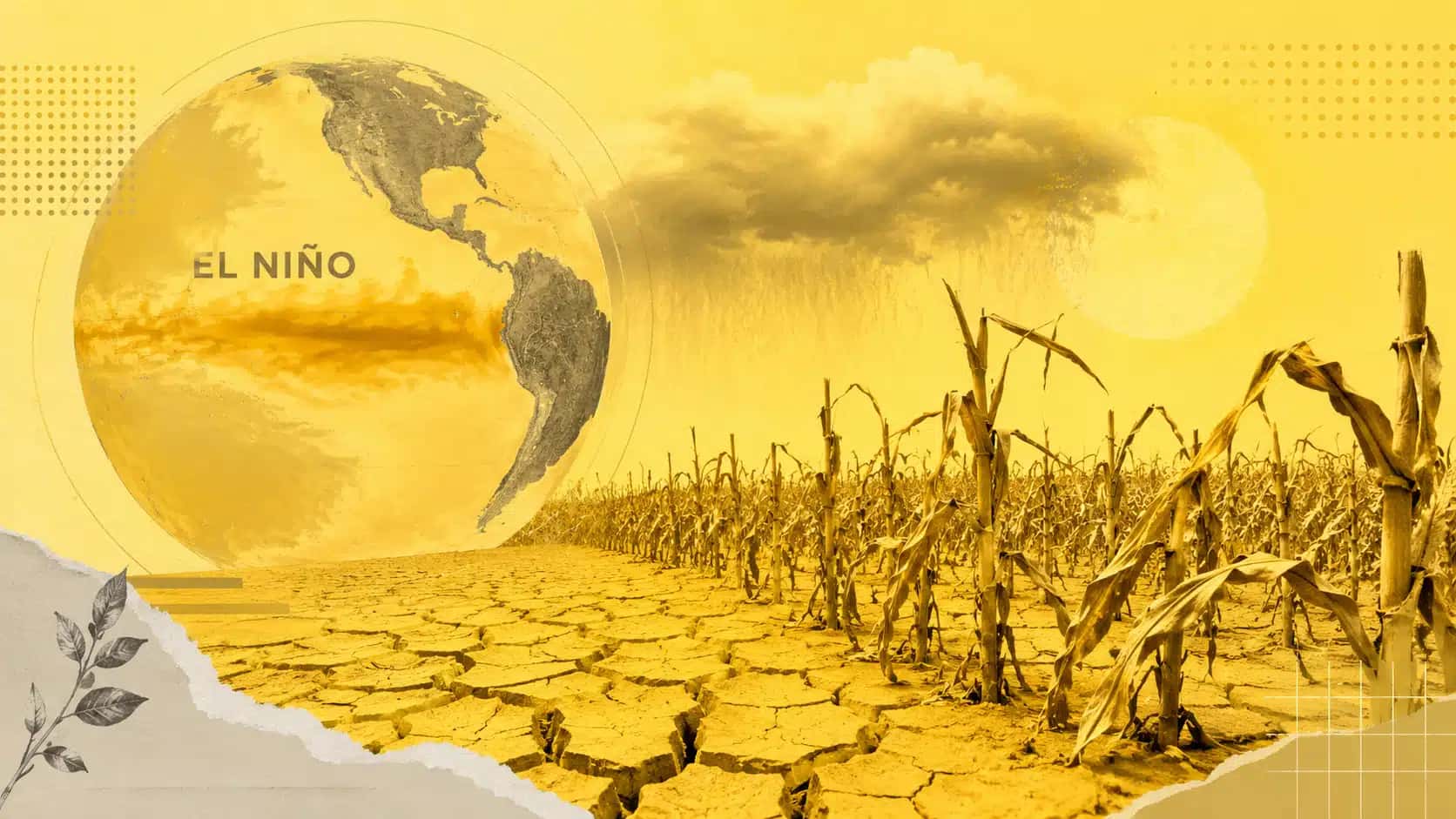 Impacto de El Niño