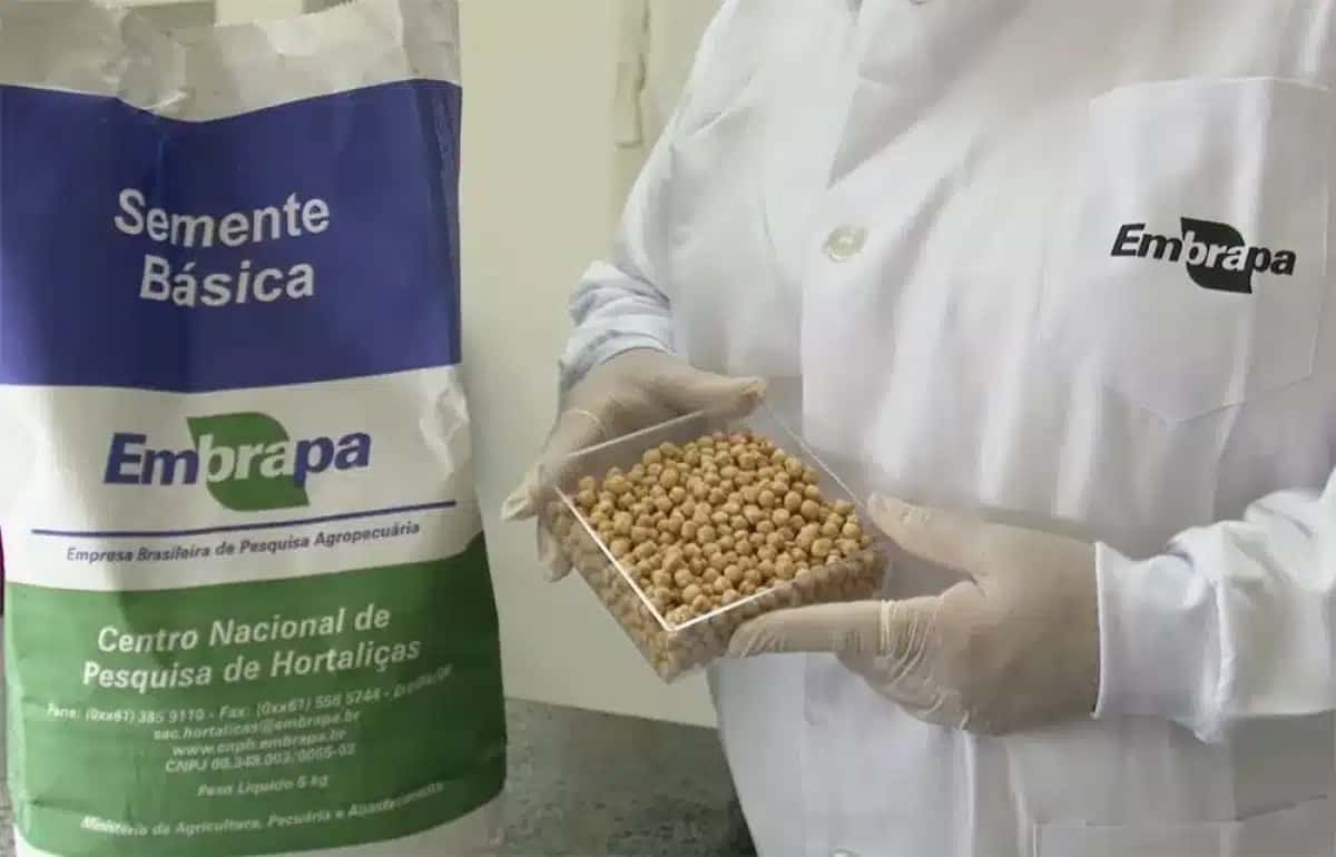 Embrapa estuda produção de alimentos para futura estação lunar