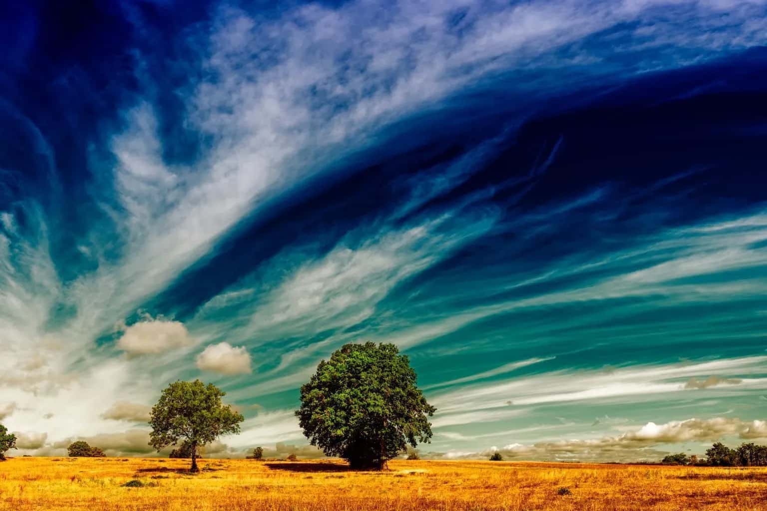 A Agência da ONU alerta que a intensidade do El Niño pode piorar entre agosto e outubro