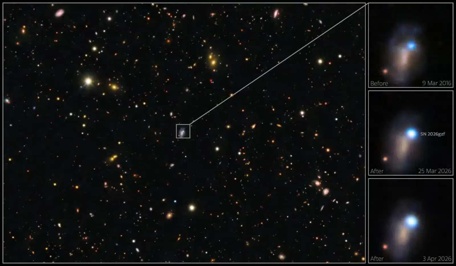 Série de imagens mostra a evolução da supernova SN 2026gzf detectada pela primeira vez pela sonda Einstein Probe em 21 de março de 2026 NSF