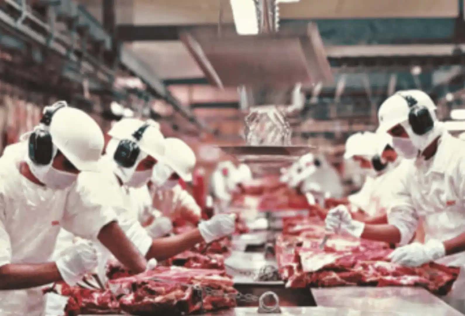 Decisão do governo Trump elevará em 300 mil toneladas o volume de carne magra que entrará nos EUA com imposto reduzido nos próximos 90 dias | Agência Brasil