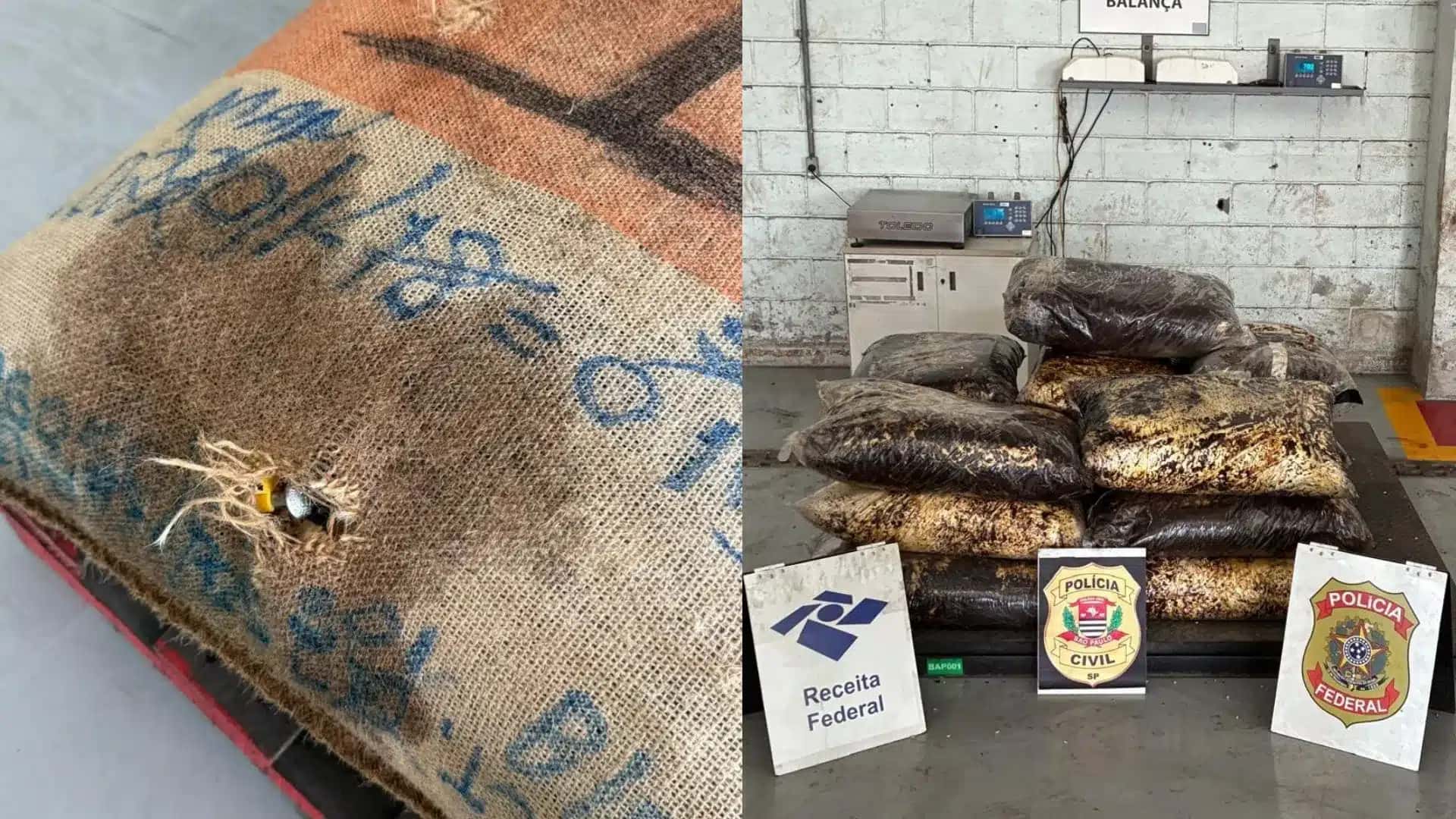 Durante a abertura do contêiner, cães de faro da Receita Federal sinalizaram a presença da droga, que foi apreendida