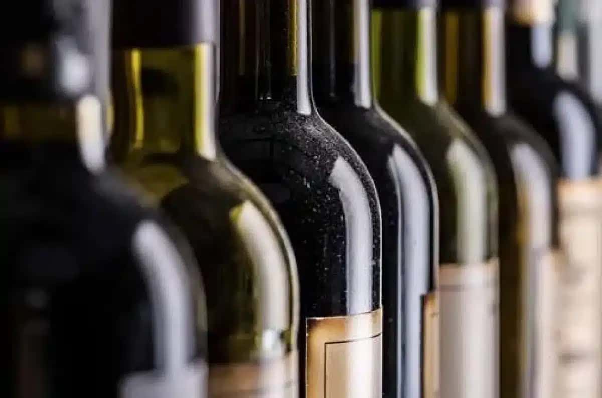 Brasil produz vinhos em 17 estados