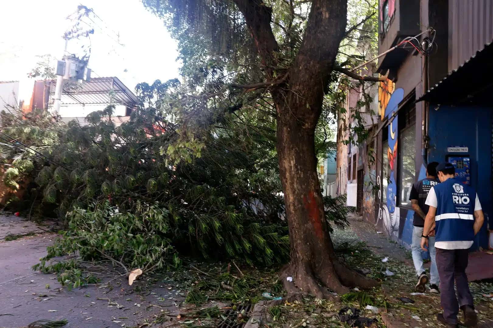 Estragos provocados pelos fortes ventos que atingiram a cidade do Rio de Janeiro em 29 de julho; na imagem, árvore caída bloqueia passagem em Botafogo | Tânia Rêgo/Agência Brasil – 30.jul.2026