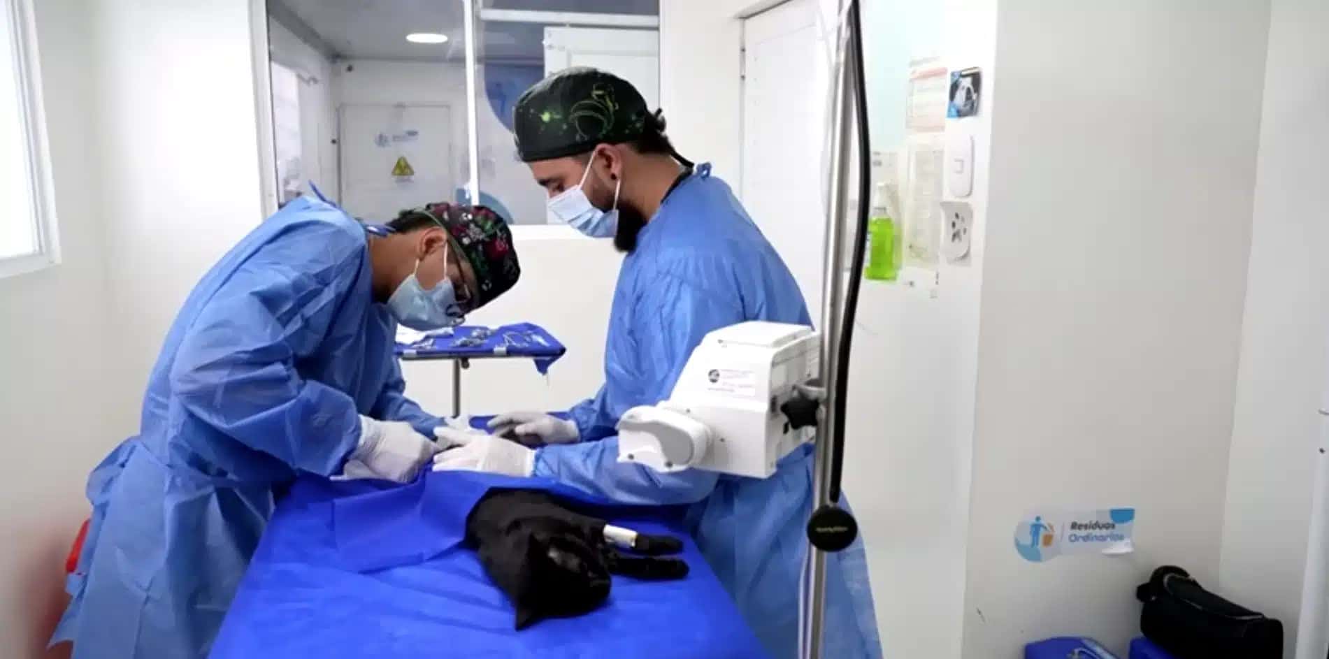 Atendimento veterinário de emergência gratuito é ampliado em Pereira enquanto sobreviventes de terremoto enfrentam dificuldades com os custos