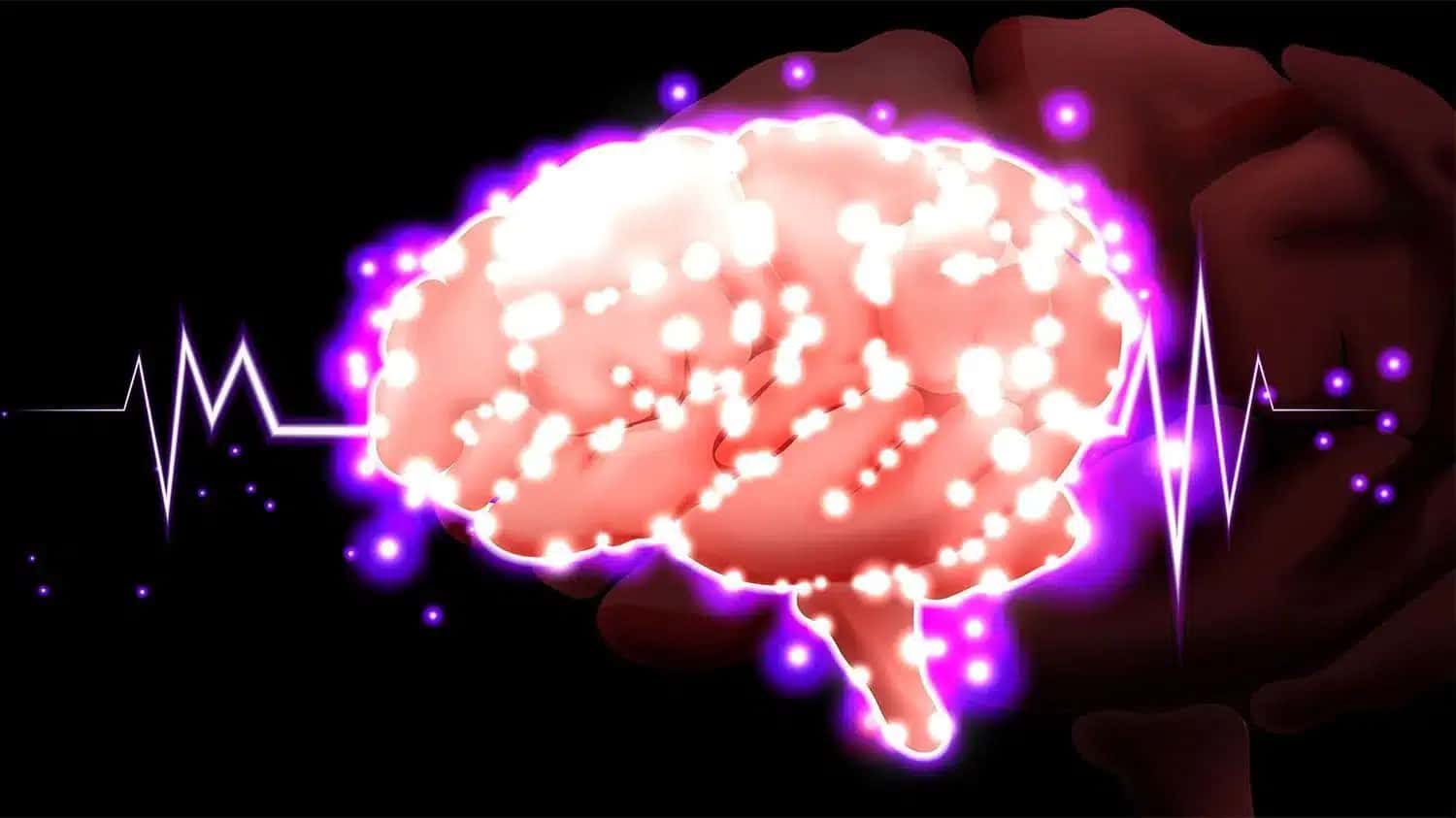 A estimulação cerebral profunda foi direcionada para o núcleo do leito da estria terminal (BNST) e para o núcleo accumbens