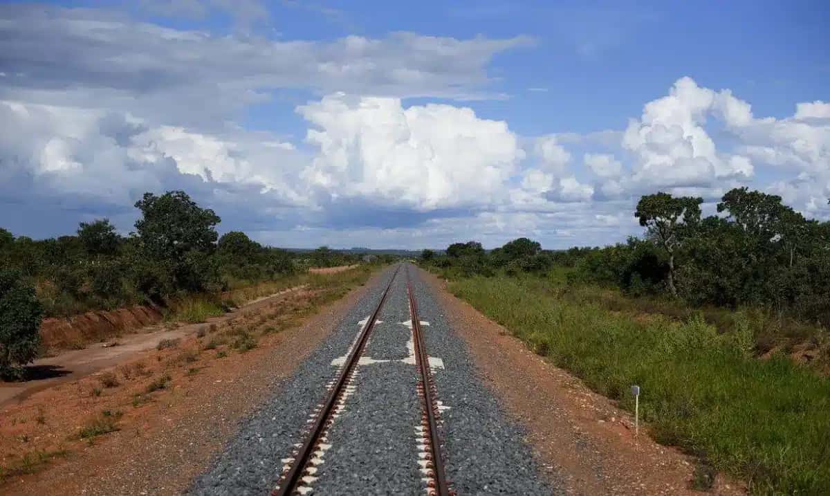 “Ferrogrão”: Ferrovia com quase 1.000 km de extensão vai facilitar o escoamento da safra de grãos do Centro-Oeste pelos portos da região Norte do país