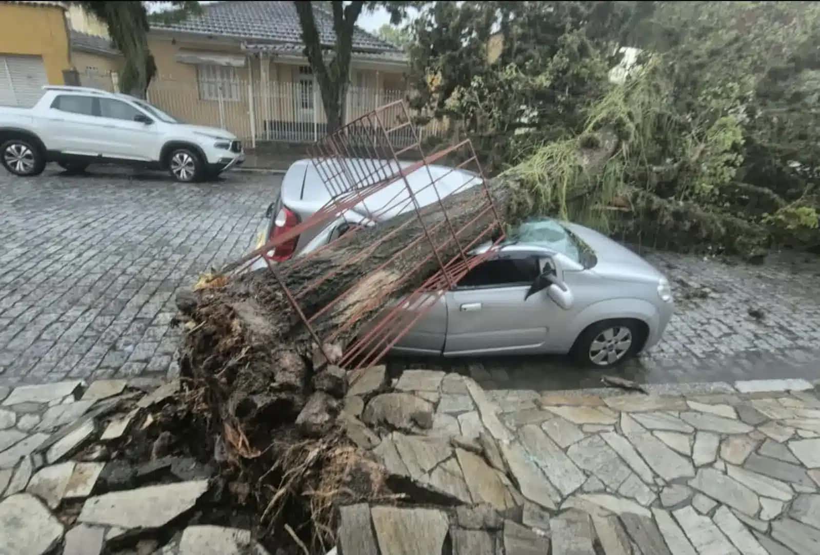 Queda de árvore sobre um veículo na cidade de Cruzeiro, após tempestade na região