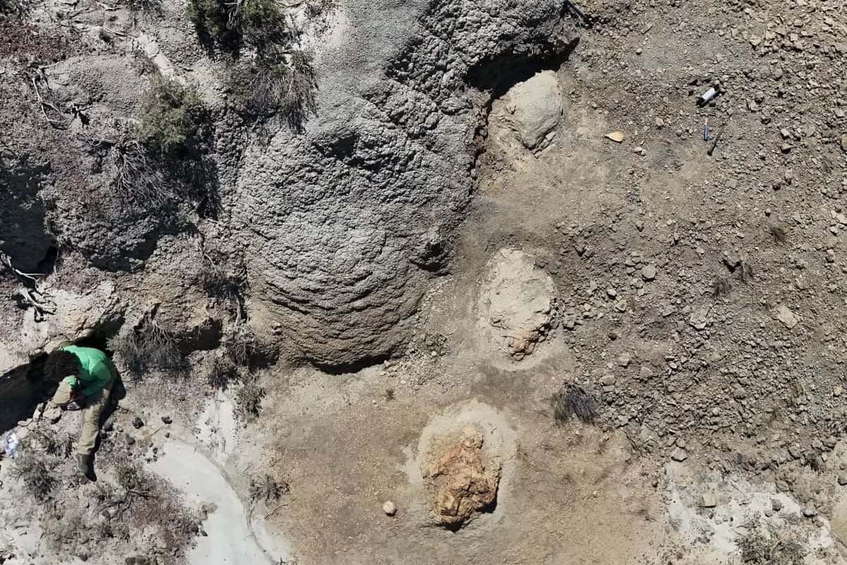 Na Formação Hell Creek, em Dakota do Norte, uma vista aérea mostra um pesquisador descobrindo pegadas de Tyrannosaurus rex de 66,5 milhões de anos atrás