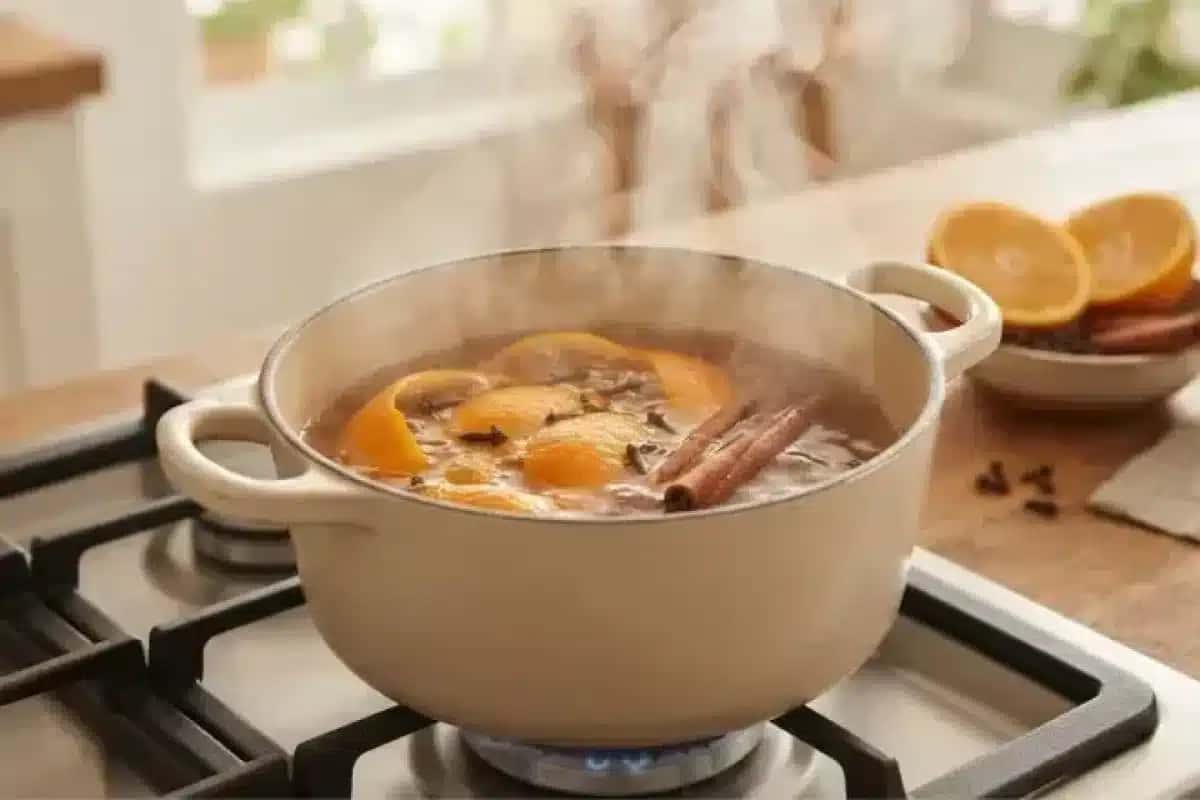 Ferver casca de laranja, cravo e canela: por que é recomendado e para que serve
