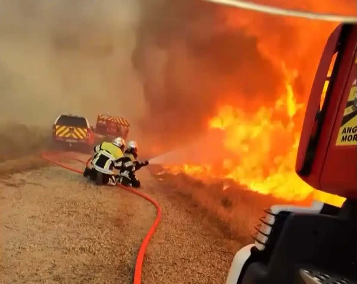 Vídeo mostra bombeiros franceses lutando para conter um incêndio florestal perto de Bordeaux, cidade no sudoeste da França