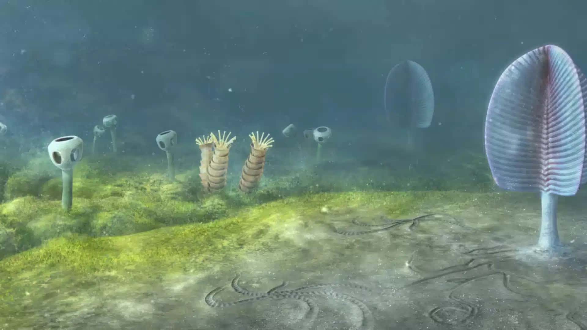 Fundo oceânico do período Ediacarano, Namíbia, sudoeste da África, há 543 milhões de anos.