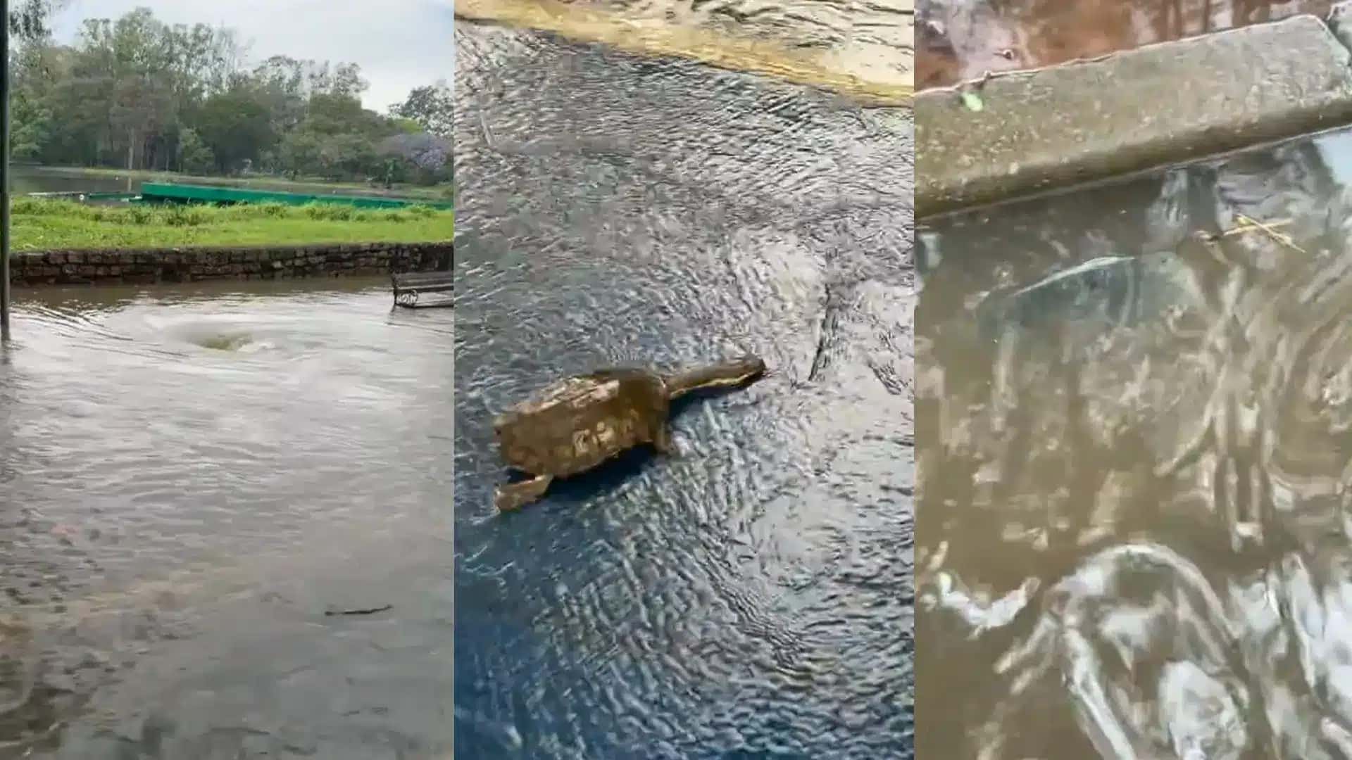 Alagamento no Ibirapuera