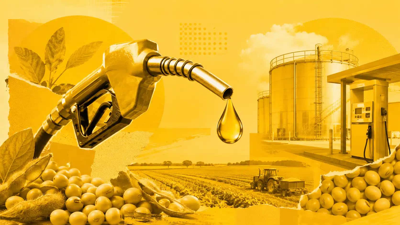 Biodiesel