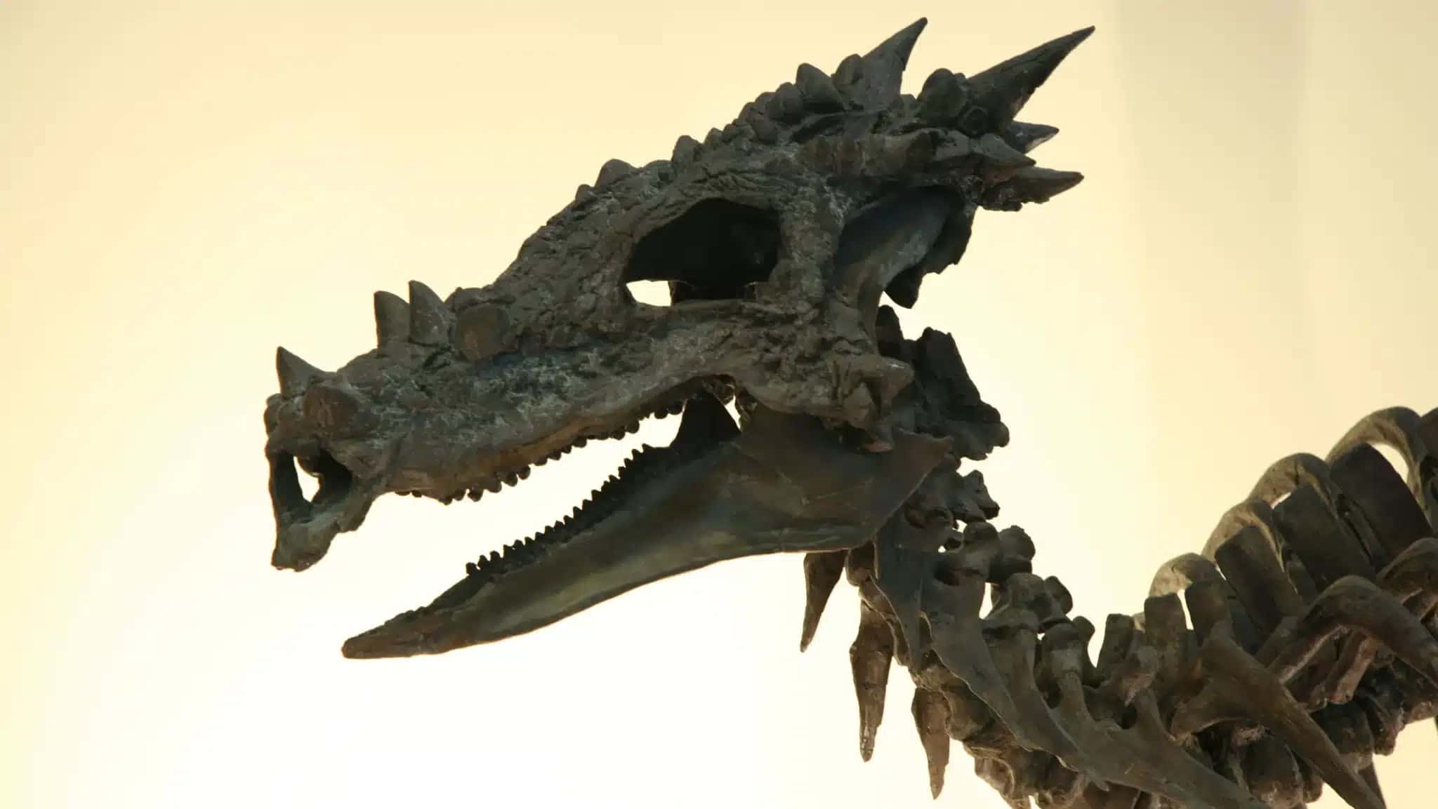 Esqueleto de Dracorex, o dinossauro mais anatomicamente similar a um dragão clássico.
