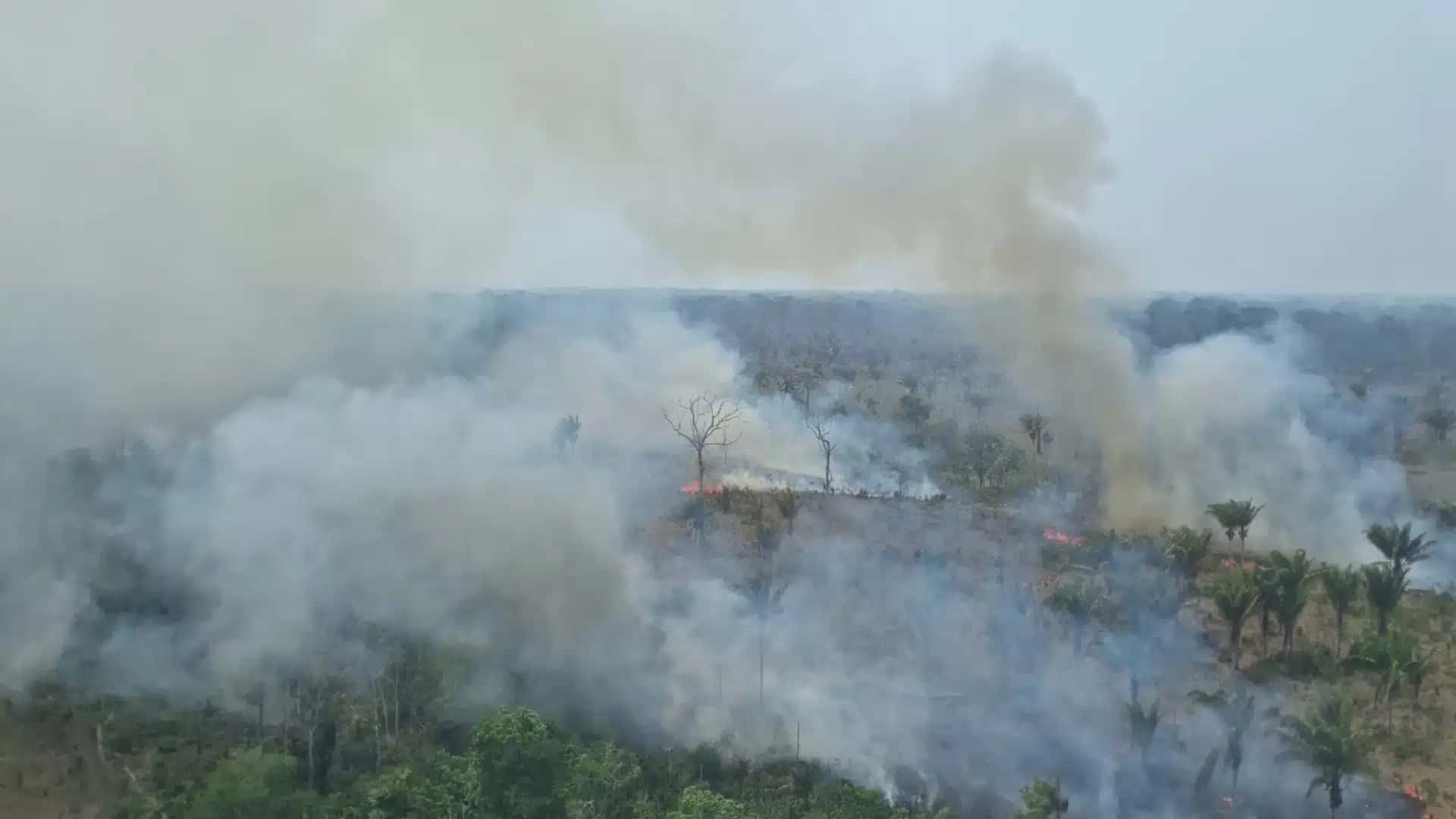 As medidas buscam verificar o cumprimento das regras de prevenção e combate ao fogo e coibir práticas que agravam os danos ambientais.