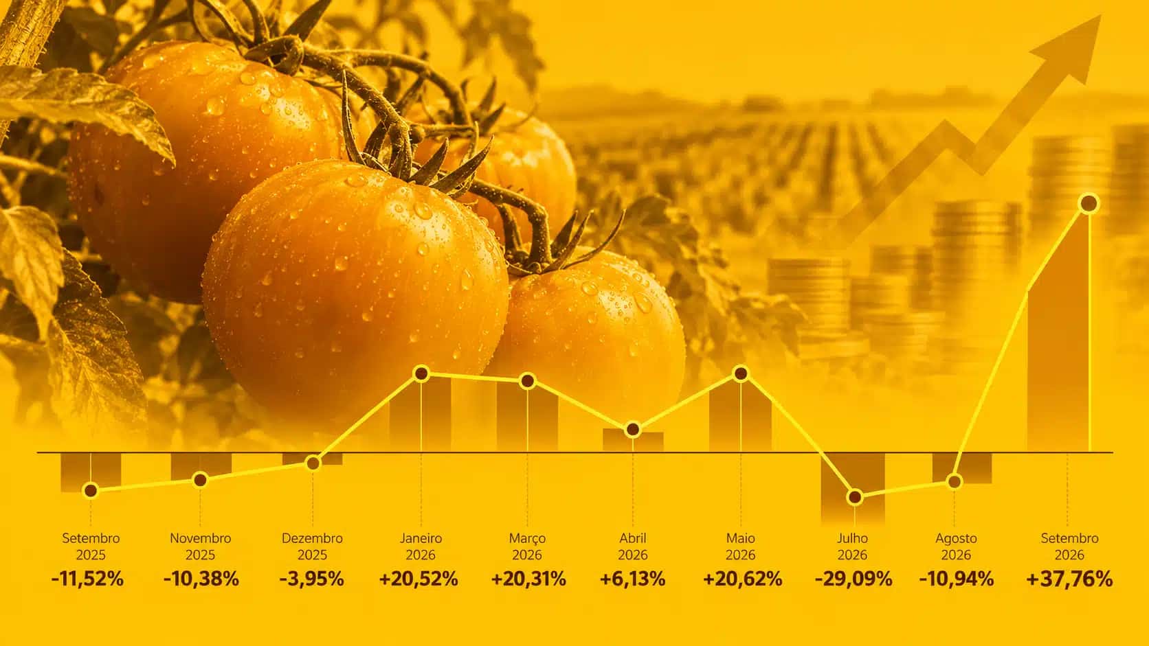 Preço do tomate e a influência na formação do IPCA, itens alimentos