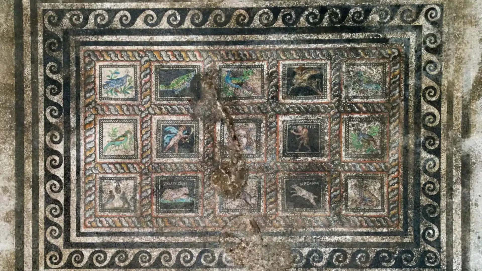 Mosaico romano encontrado em antiga residência de Adramytteion, na atual Turquia, mostra as representações de um gato e um cachorro identificados por inscrições com seus nomes