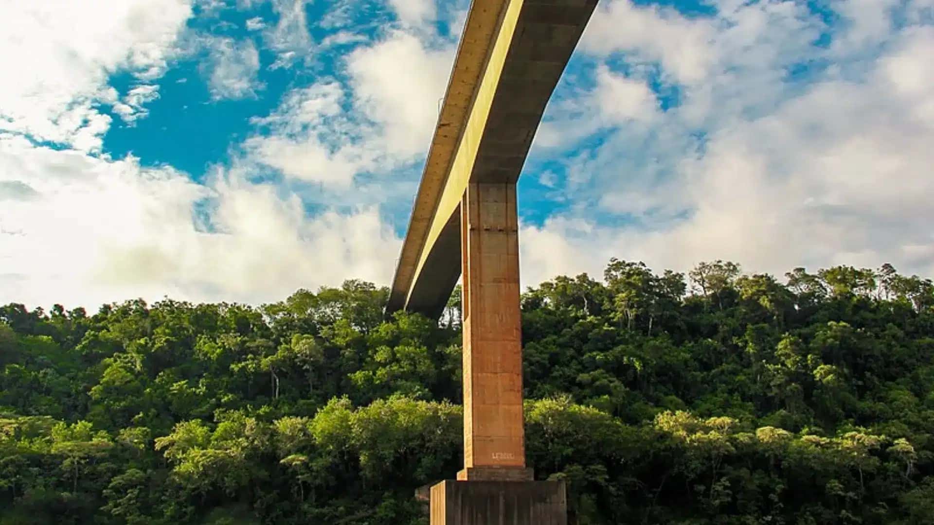 Ponte Internacional da Fraternidade: dimensões, fiscalização e o papel da travessia de 489 metros no trânsito com a Argentina | Foto: Reprodução/CNN Brasil