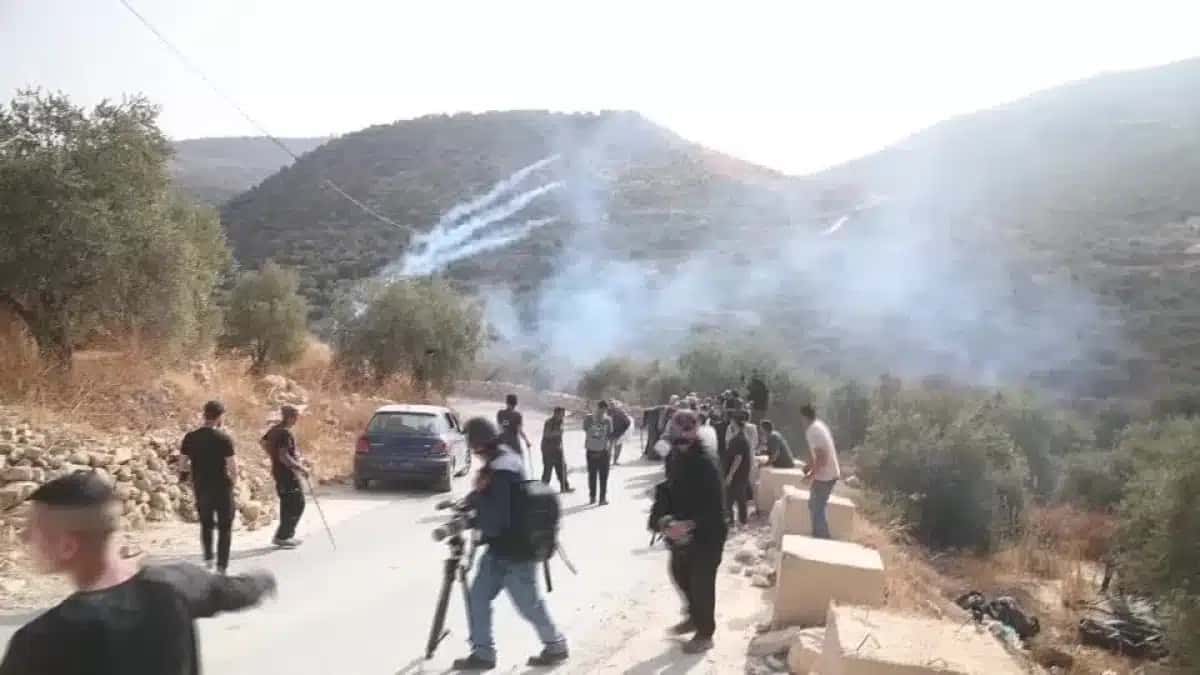 Forças israelenses lançam gás lacrimogêneo contra palestinos que colhem azeitonas, enquanto colonos atiram pedras na Cisjordânia.