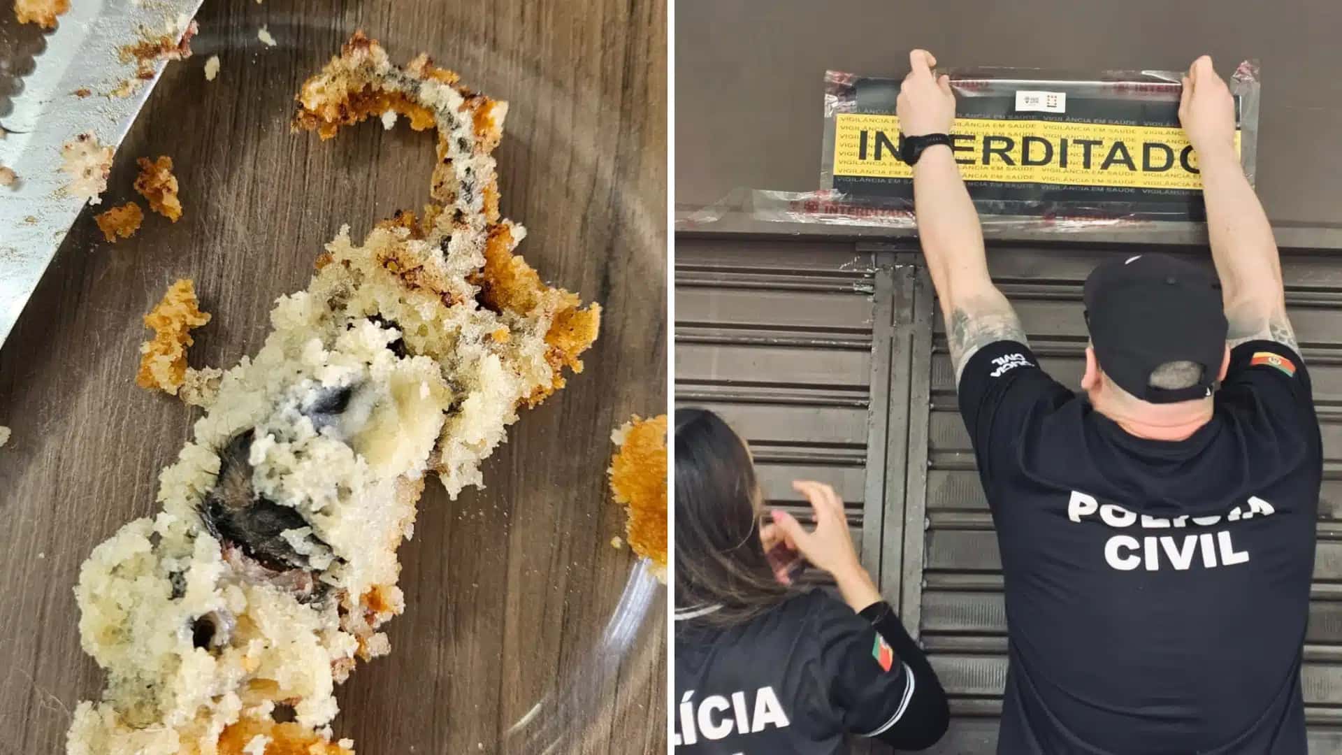 Consumidor relatou ter encontrado um rato morto dentro de um bolo.