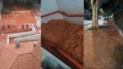 Imagem do post