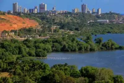 Imagem do post