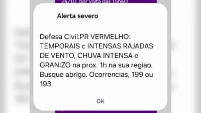 Defesa Civil do Paraná decreta alerta vermelho para temporais e granizo neste sábado (24)