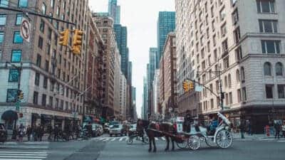 Mamdani vai sancionar lei que bane charretes em Nova York: quando acaba e o que será dos cavalos