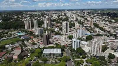 Amafil começa fábrica de mandioca em Umuarama com investimento de R$ 80 milhões