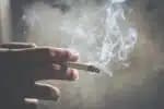 Proíbe-se o consumo de cigarros em parques, praias e áreas próximas a instituições de ensino na França