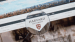 Estados Unidos solicitam comprovação de vínculo financeiro para candidatos a visto que desejam estudar na Harvard