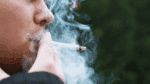 França restringe o consumo de cigarros em praias, parques e em áreas próximas a instituições de ensino