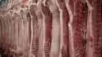 A Conab projeta uma produção de 31,57 milhões de toneladas de carne para o ano de 2025