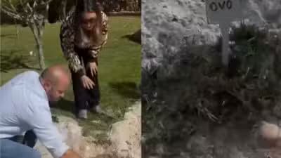 Imagem card com fundo