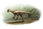 Fóssil raro revela dinossauro do tamanho de um cão