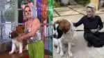 Ana Maria Braga expressa tristeza pela morte de cachorro: &#8220;Agora ele corre no céu&#8221;