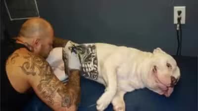 Imagem do post de destaque