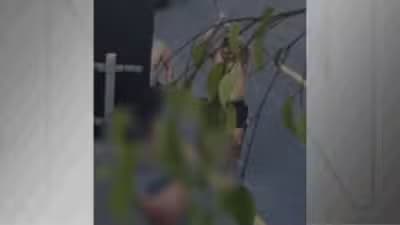 Imagem do post de destaque