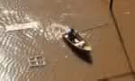 Defesa Civil do Rio Grande do Sul emite alerta devido ao transbordamento do Rio Guaíba em Porto Alegre
