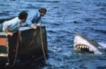 O filme “Tubarão” celebra 50 anos, e analisa como a obra transformou a cultura pop
