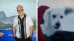 James Gunn se inspira em seu próprio cão para “Como ele me aterroriza”