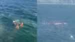 Corpo de Bombeiros resgata 73 atletas de stand up paddle após tempestade no rio