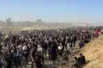 Centenas de ONGs alertam para ‘fome generalizada’ em Gaza