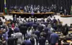 Parlamento vota em lei que impede realização de experimentos com produtos de beleza em animais
