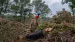 Operações de busca e salvamento seguem em Texas após quatro dias de inundações
