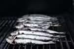 Setor dos pescados alerta para risco de perda de competitividade devido a tarifas