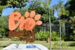 Novas galinhas da Angola sucumbiram à gripe aviária no BioParque do Rio