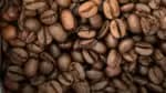 Aumento nos preços do café gera um volume de US$ 14,7 bilhões em receita na safra 2024/25